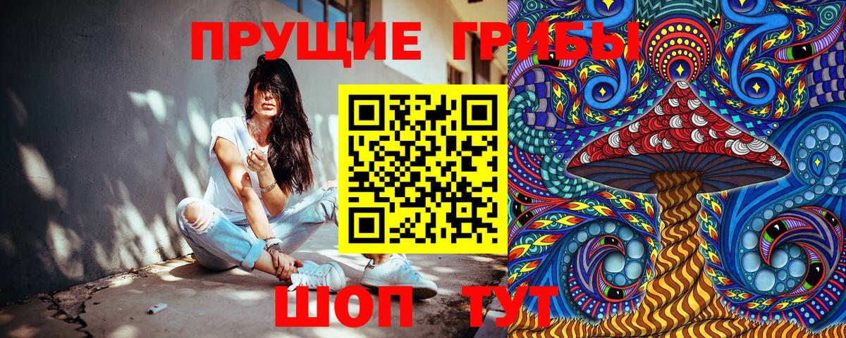 Псилоцибиновые грибы Psilocybe  купить наркоту  Гатчина  Вход с VPN 